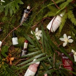beauty products in a forest