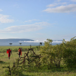 Mara Naboisho Conservancy, Masai Mara, Kenya